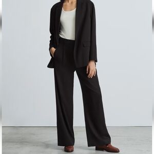Everlane The Way-High Drape Pant Size 6R